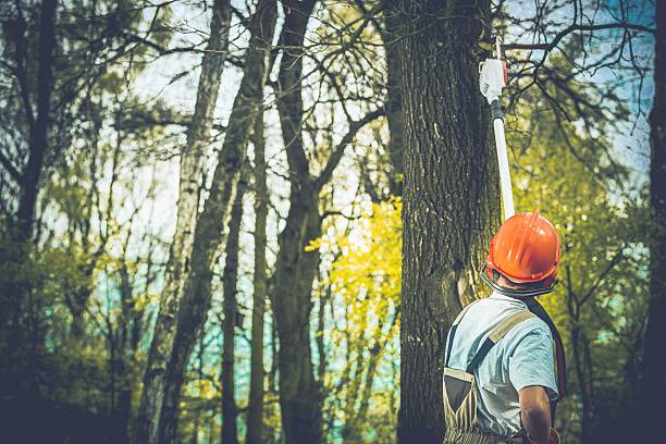 Best Soil Testing and Treatment  in Mount Union, PA