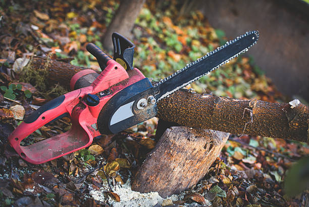 Best Tree Preservation Services  in Mount Union, PA